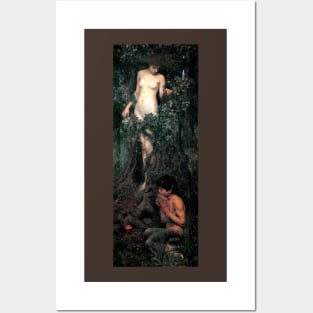 A Hamadryad - John William Waterhouse Posters and Art